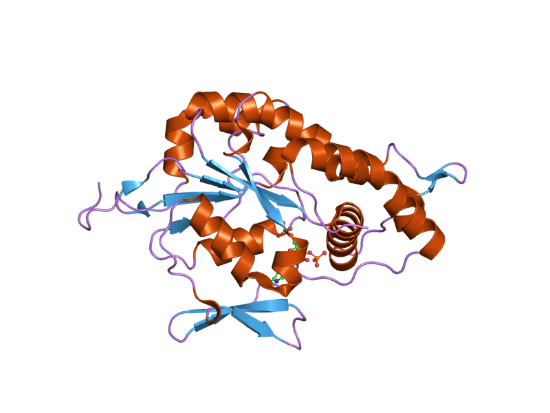 File:PDB 1zrh EBI.png