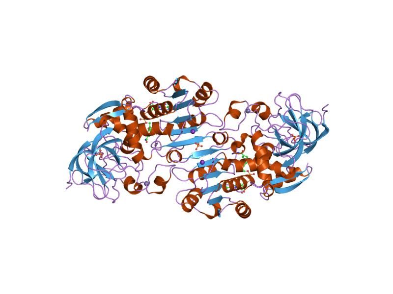 File:PDB 2fzw EBI.jpg