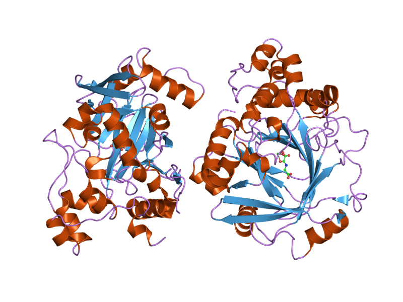 File:PDB 2oq7 EBI.png