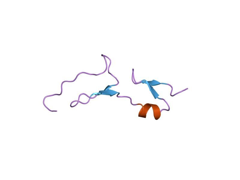 File:PDB 2vgh EBI.jpg