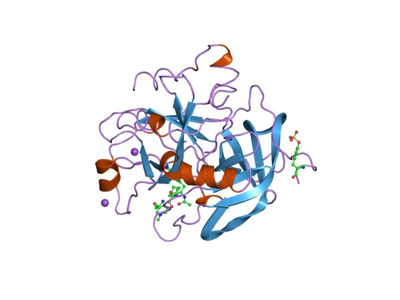 File:PDB 7kme EBI.jpg