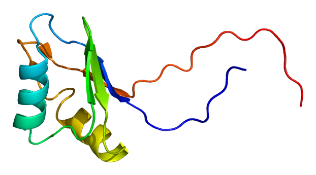 File:Protein IGF2BP2 PDB 2cqh.png