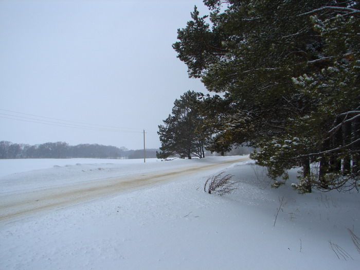 File:Russian Winter - panoramio.jpg