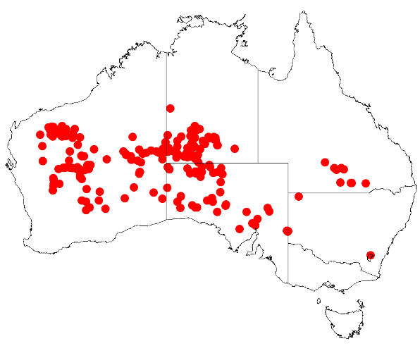 File:Acacia ayersianaDistMap92.png