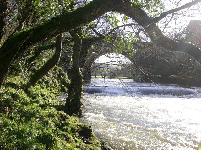 File:Afon Teifi - geograph.org.uk - 343948.jpg