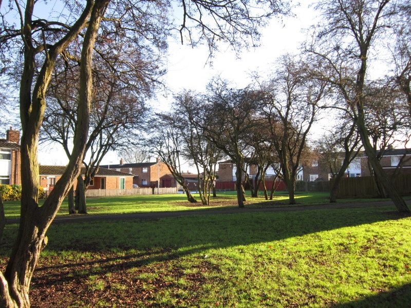 File:Cladshaw, Orchard Park Estate, Hull (geograph 3251500).jpg