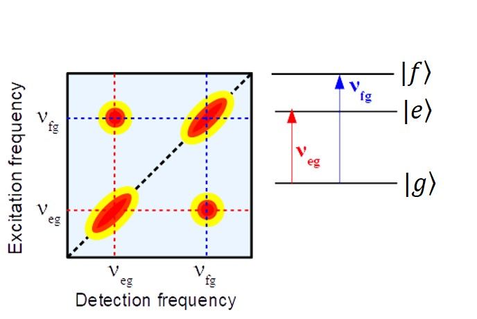 File:Example of 2D spectra.jpg