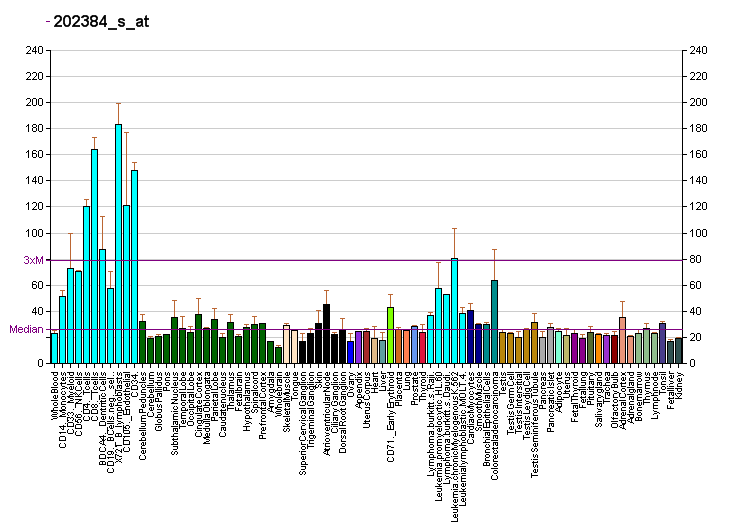 File:PBB GE TCOF1 202384 s at fs.png