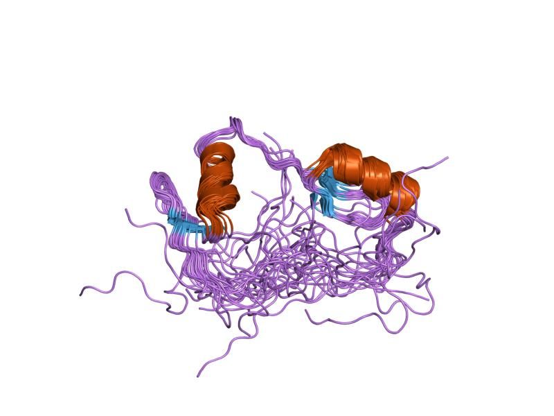 File:PDB 1x6h EBI.jpg