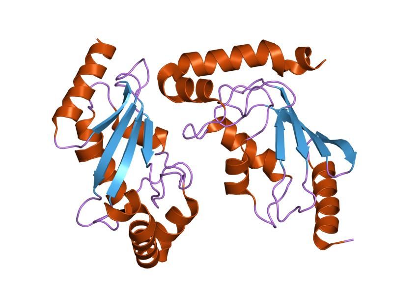 File:PDB 1yh6 EBI.jpg