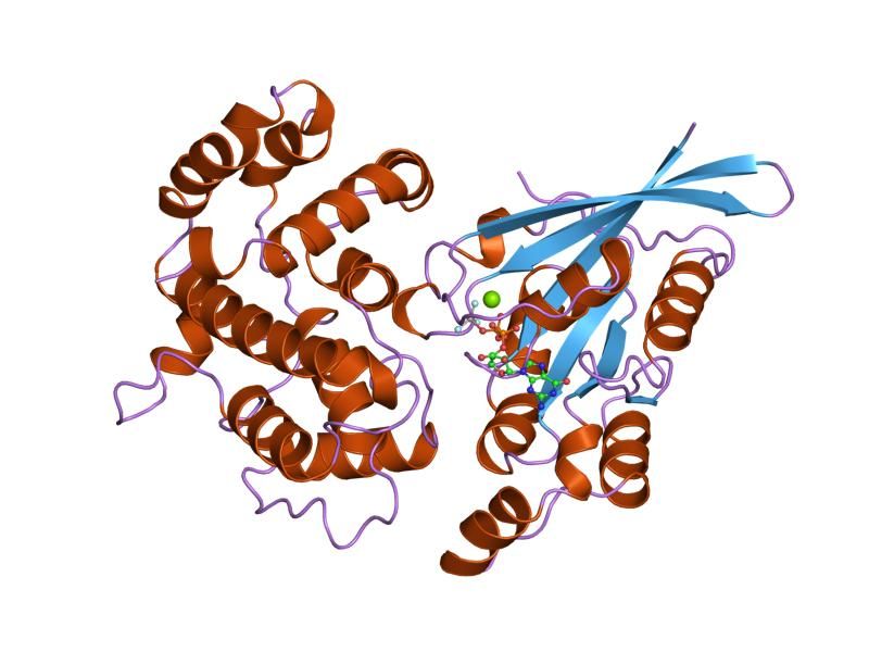 File:PDB 2ngr EBI.jpg