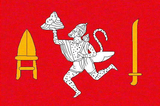 File:Rajgarhflag.png