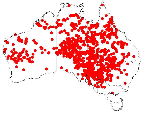 File:Acacia victoriaeDistMap945.png