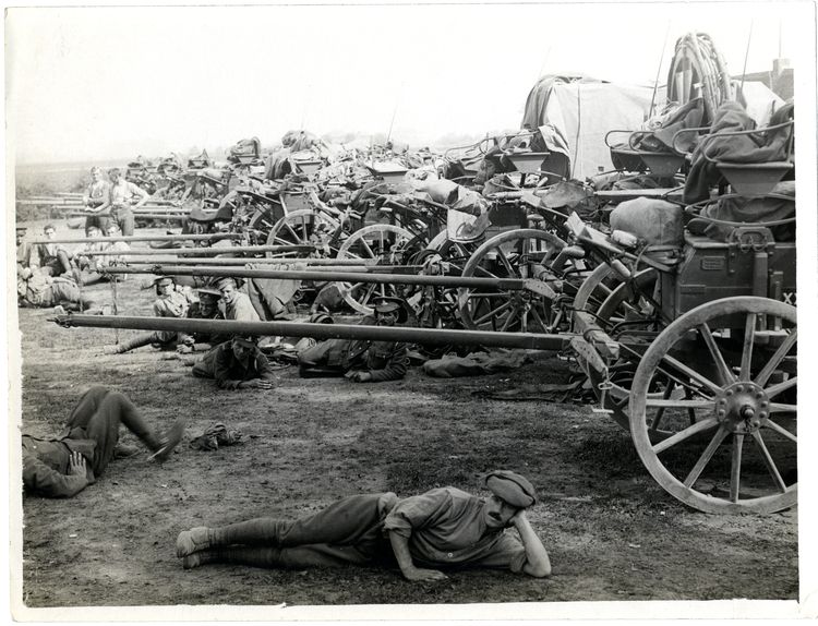 File:Ammunition column carts Estaires, France (Photo 24-332).jpg