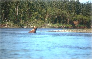 File:Andreafsky River AK.jpg