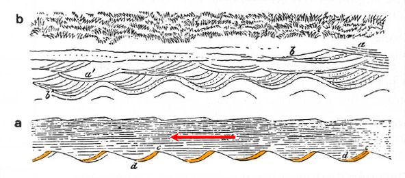 File:Figure1 PatrickGanly 1856.jpg