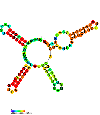 File:IbpB Thermometer.png