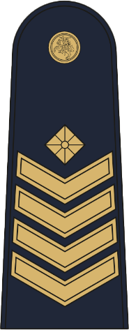 File:Lithuanian Air Force OR-8.png