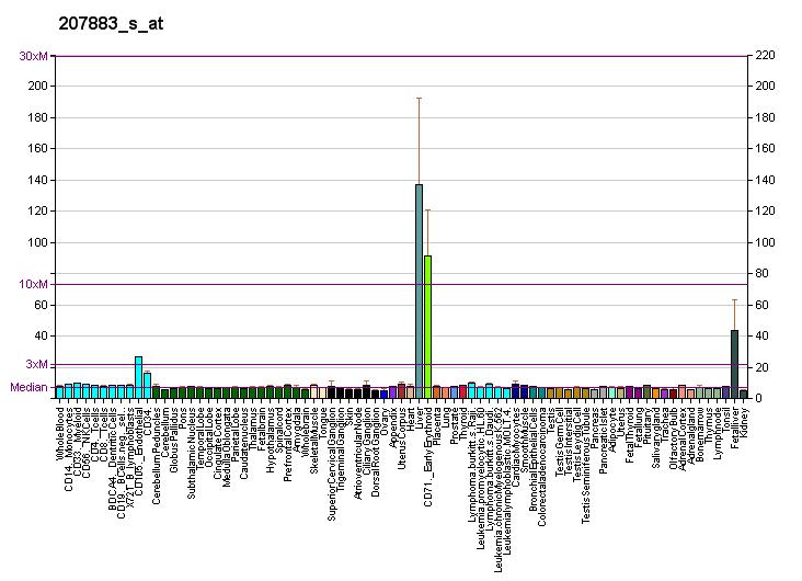 File:PBB GE TFR2 207883 s at fs.png