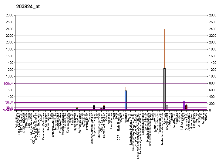 File:PBB GE TSPAN8 203824 at fs.png