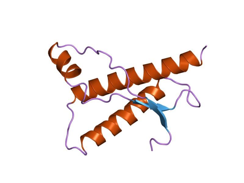 File:PDB 1dwy EBI.jpg