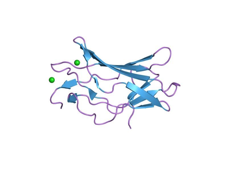 File:PDB 1ean EBI.jpg