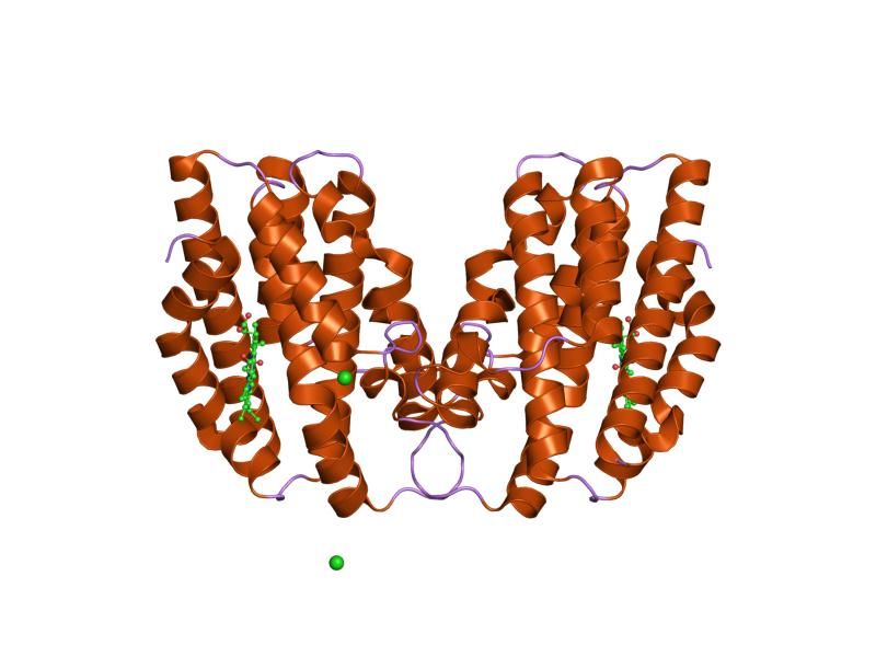 File:PDB 1n3u EBI.jpg