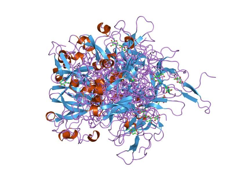 File:PDB 1urk EBI.jpg