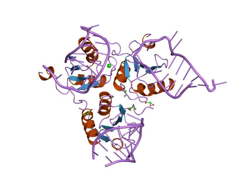 File:PDB 1urn EBI.jpg