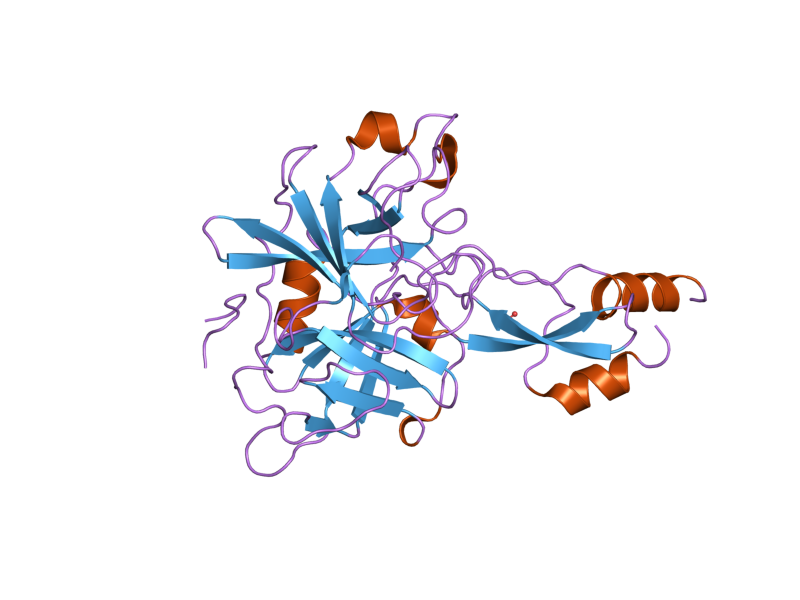 File:PDB 1yc0 EBI.png