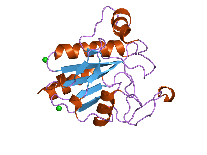 File:PDB 2he3 EBI.png