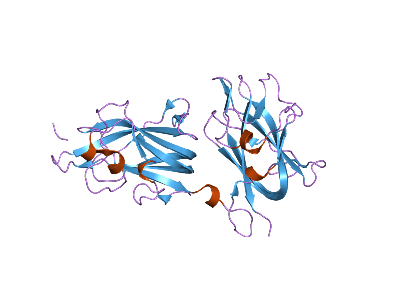 File:PDB 2orz EBI.png