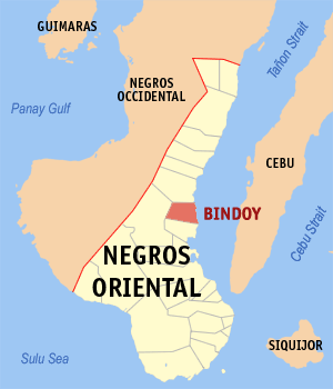 File:Ph locator negros oriental bindoy.png