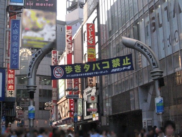 File:Shibuyacentergai 080610.jpg