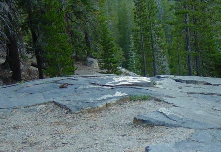 File:Top of Devils Postpile-glacial polish-750px.jpg