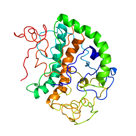 File:C21orf58 structure.png