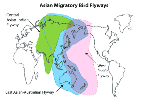 File:Central Asian Flyway Map.png