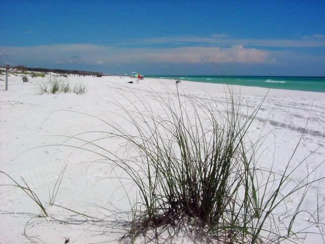 File:HendersonBeachStateParkShore.jpg