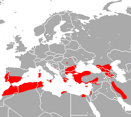 File:Mehely's Horseshoe Bat area.png