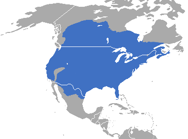 File:Mephitis mephitis range map.png