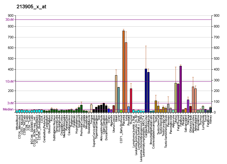 File:PBB GE BGN 213905 x at fs.png