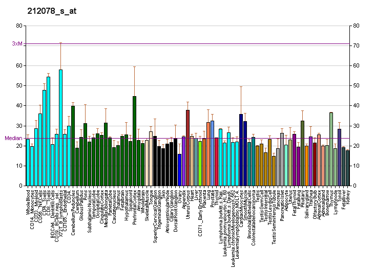 File:PBB GE MLL 212078 s at fs.png