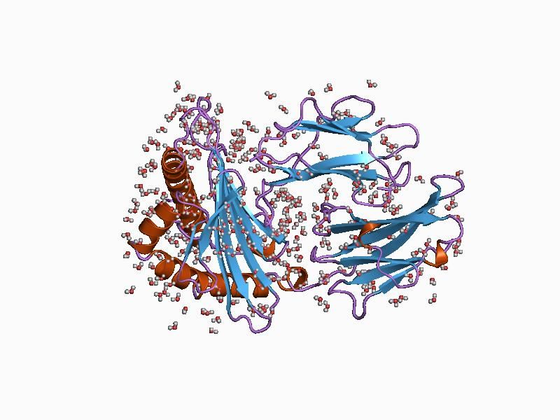 File:PDB 1agf EBI.jpg