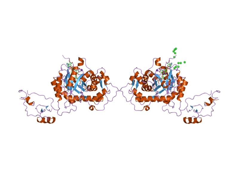 File:PDB 1nf7 EBI.jpg