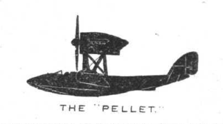 File:Pellet side.png