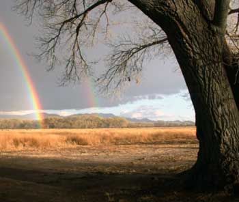 File:SPRNCA-Rainbow.jpg