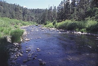 File:BlackRiver01.jpg