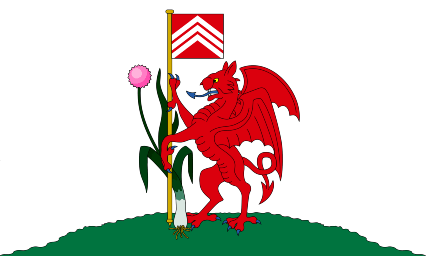 File:City of Cardiff flag.png