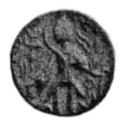 File:Coin of Kushan ruler Chhu.jpg