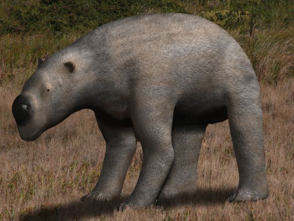 File:Diprotodon optatum.jpg